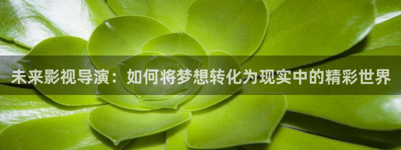 紅桃視頻app.